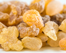 Boswellia Extract
